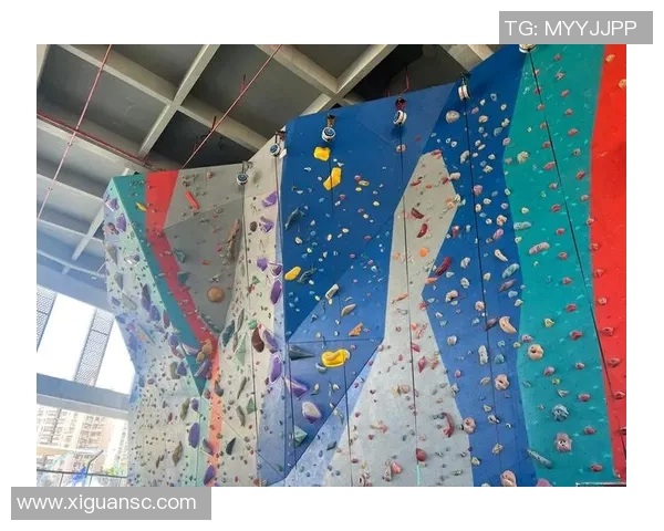 南京攀岩队技术探讨与训练经验分享攀岩运动的未来发展之路